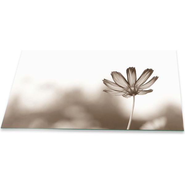 Piastra Di Copertura Del Piano Cottura Piastra Di Copertura Del Piano Cottura In Ceramica 1 Pezzo 90X52 Fiori Grigio-image
