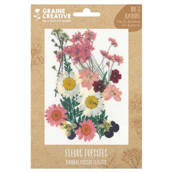 Graine Creative Flower Set - Fiori Secchi Naturali Artigianali 16 Pezzi-image