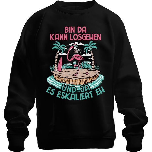 Am Ci Può Andare Fuori Escalation Fenicottero Spiaggia Festa Isola Vacanza Unisex Felpa Pullover, Nero, Xl-image