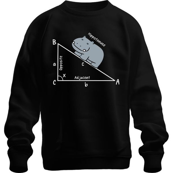 Hippotenuse Matematica Trigonometria Triangolo Hippo Regalo Insegnante Unisex Felpa Pullover, Nero, 3XL-image