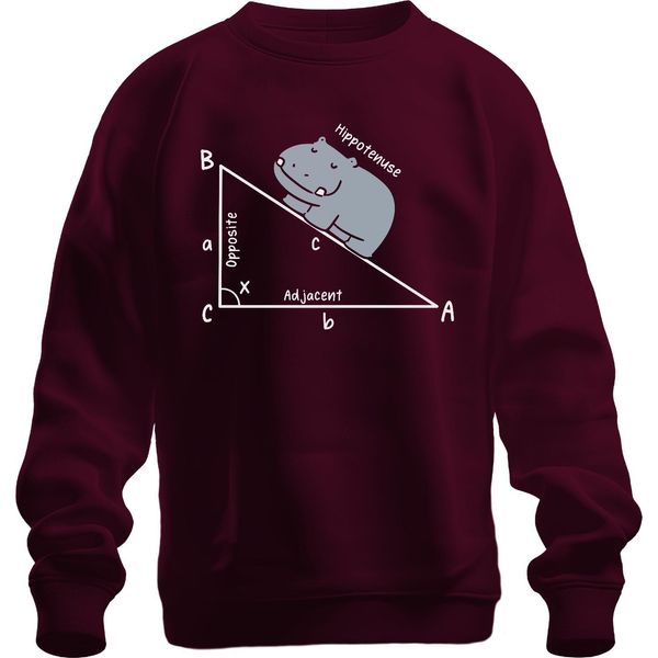 Hippotenuse Matematica Trigonometria Triangolo Hippo Regalo Insegnante Unisex Felpa Pullover, Borgogna, S-image