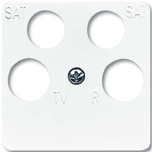 BUSCH-JAEGER Piastra Centrale Ant.Box 4F Reflex Si Aws Glz-image