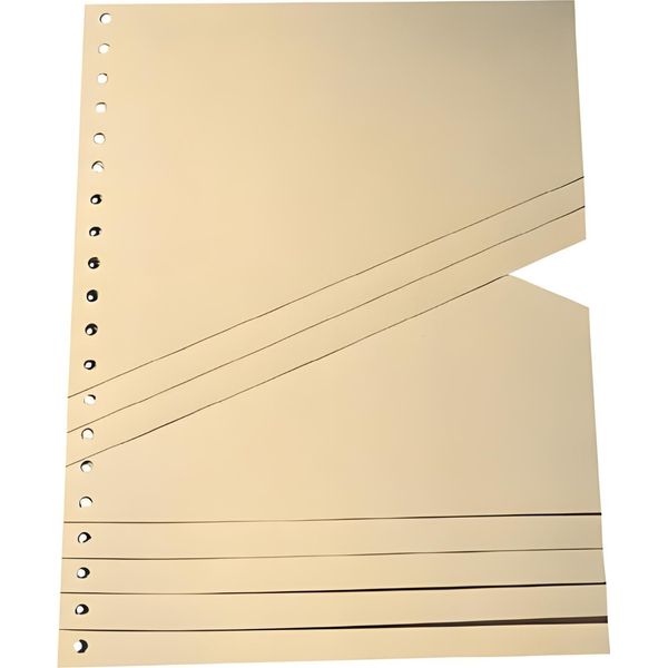 9591100100 Fogli Divisori Graduati - A4, Camoscio, 100 Pezzi-image