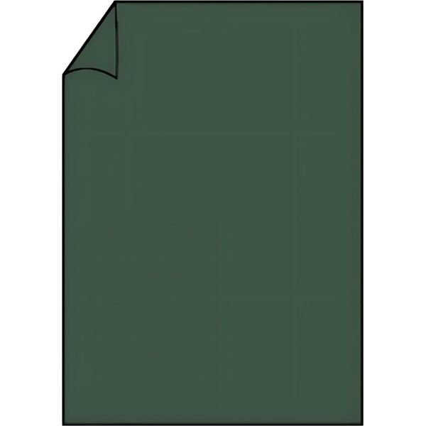 RöSsler Papier 220701571 Coloretti Carta Da Lettere - A4, 80G, 10 Fogli, Foresta-image