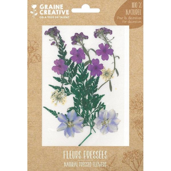 Graine Creative Fiori Secchi Decorazione Prato Viola 13 Pezzi-image