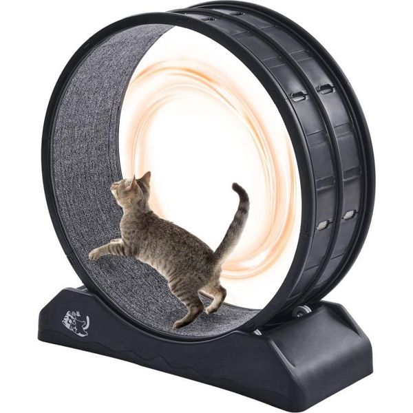 Tapis Roulant Per Gatti - Tapis Roulant Per Gatti 80X34X85Cm - Fino A 4Kg Di Carico - Colore Nero-image