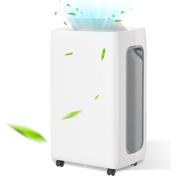 Deumidificatore Jayseuw 16 Litri/Giorno - Deumidificatore Per Ambienti Fino A 25 M² - Serbatoio Estraibile Da 2 Litri Per Ambienti Fino A 25 M²-image