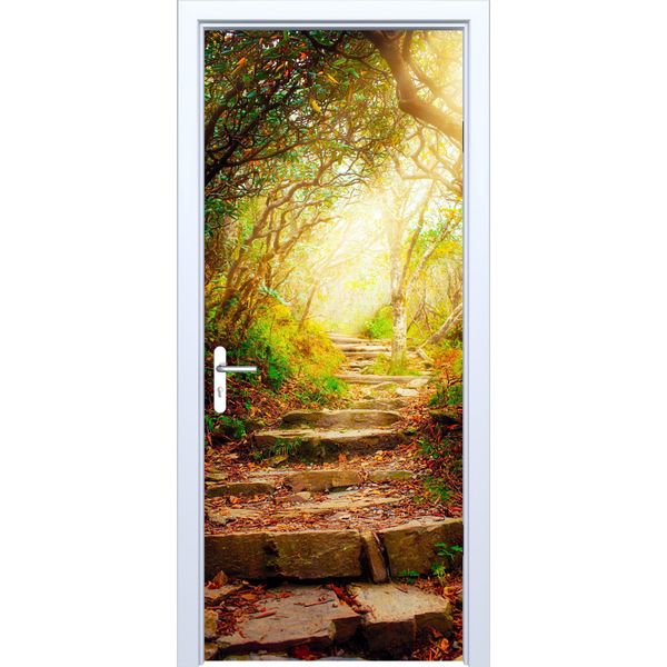Adesivo Per Porta In Tessuto Sentiero Sassoso Attraverso La Foresta 880PD-image