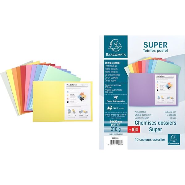 Exacompta 330009E Exacompta Aktendeckel Super 250, Din A4, Grau-image