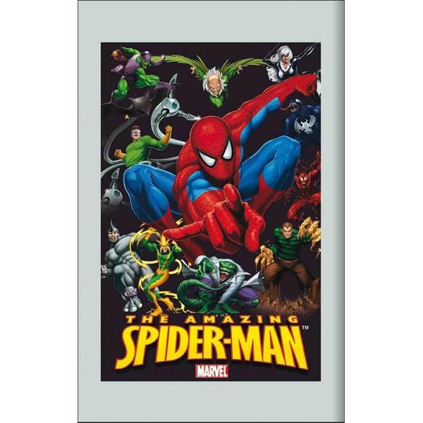 Spiderman Eroe Marvel - Specchio Stampato 20X30 Cm Con Cornice In Plastica-image