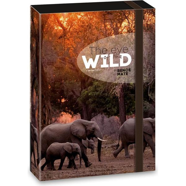 Ars Una A4 Scatola Per Quaderni, Cartella Per Cartelle, Con Elastico E Alette Interne, The Eye Of The Wild - Elephants-image