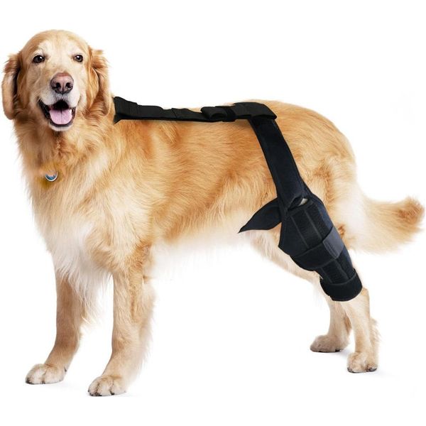 Inf Tutore Posteriore Per Gamba Di Cane Con Supporto - Recupero Fratture E Lesioni L-image