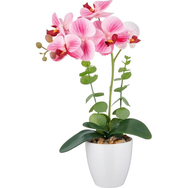 Set Di 2 Piante Artificiali Phalaenopsis 40 Cm Rosa Real Touch In Vaso Bianco Di Melamina 9X9 Cm Facile Da Curare-image