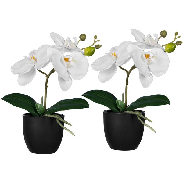 Kunstorchidee Creativ Green "Orchidee Phalaenopsis", Weiß, H:23Cm, Kunststoff, Kunstpflanzen, Mit Naturgetreuen BlüTen-image