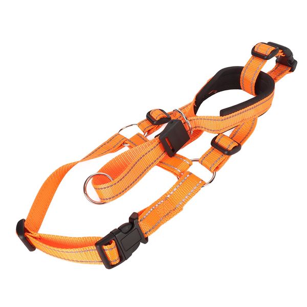 Museruola Per Cani, Museruola Per Cani In Nylon, Museruola Per Cani Con Collare Regolabile, Museruola Per Cani, Museruola Per Cani Con Cavezza, Museruola Per Cani Con Cinturino, Protezione Della Bocca Del Cane-image