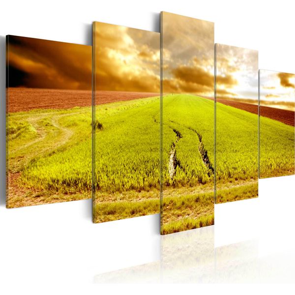 Quadro Su Tela Agricoltura 200X100 Cm In Tessuto Non Tessuto 5 Pezzi Stampa D'arte Moderna Arte Murale Xxl Decorazione Murale Design Quadro Murale - Felder Nature Getriede 030212-53-image