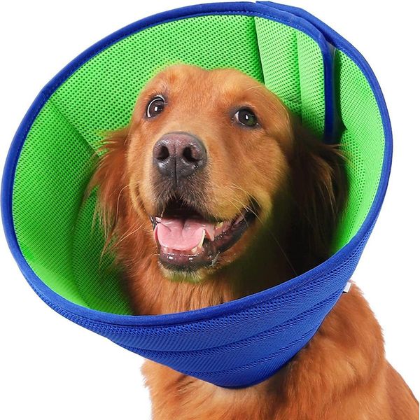 Inf Collare Protettivo Anti-Leccamento Per Cani E Gatti, Recupero Post-Operatorio L-image