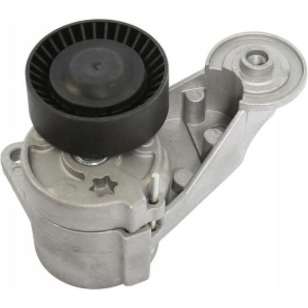 Volvo XC70 2.4D Tenditore Cinghia Trapezoidale Oe 31251252-image
