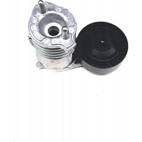 Volvo C30 C70 S40 V50 Tenditore Cinghia Trapezoidale Oe 31251654-image