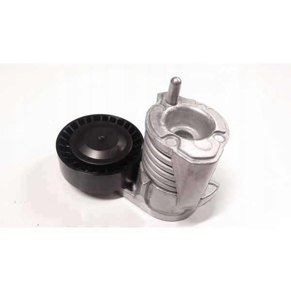 Volvo C30 C70 S40 V50 Tenditore Cinghia Trapezoidale Oe 30711320-image
