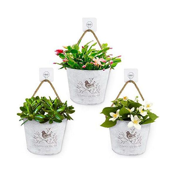 Bofunx 3 Pezzi Vasi Di Fiori Appesi Metallo Cesto Di Vasi Vintage Corda Di Iuta Gancio Autoadesivo Fiori Piante Decorazione Murale Vaso Da Giardino-image