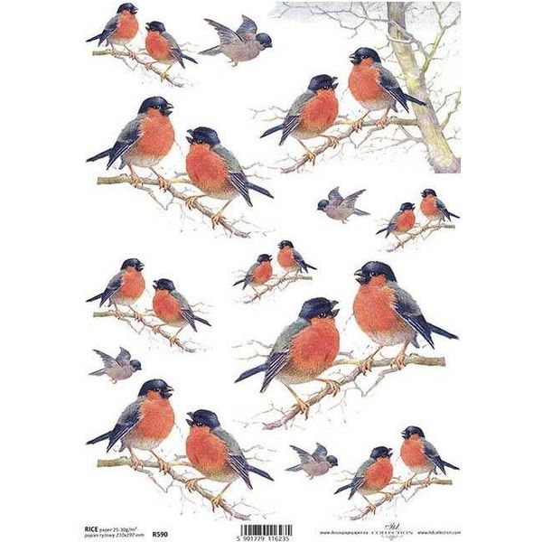 Itd Carta Di Riso Per Decoupage, Uccelli R0590-image