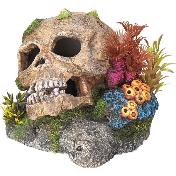 Ornamenti Acquatici "Totenkopf"" Con Piante 13,5 X 13,5 X 10,5 Cm"-image