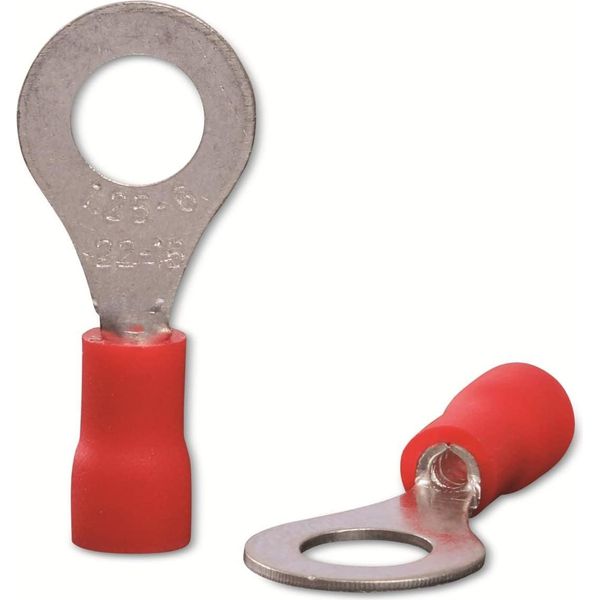 Quadrios 22C443 Capocorda Ad Anello Sezione (Max.)=1,5 Mm² Foro-Ø=6,5 Mm Parzialmente Isolato Rosso 1 Set (22C443)-image