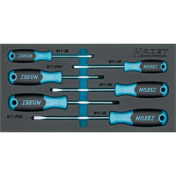 Set Di Cacciaviti 163-265/6N ∙ Profilo Phillips Ph, Profilo A Taglio ∙ 6 Pezzi ∙ 0,5 X 3 ∙ 0,8 X 4 ∙ 1 X 5,5 ∙ 1,2 X 6,5 ∙ PH1 ∙ PH2-image