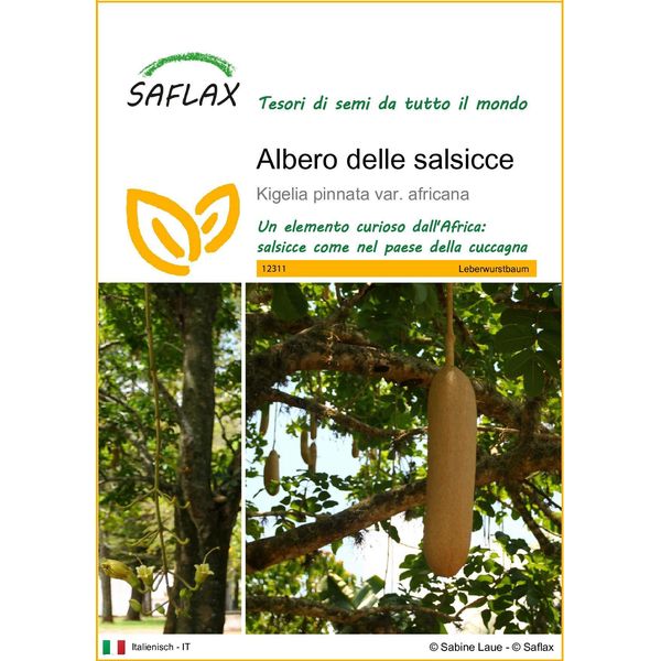 Saflax - Albero Delle Salsicce - 10 Semi - Kigelia-image