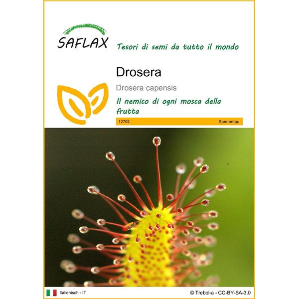 Saflax - Drosera - 200 Semi - Drosera-image