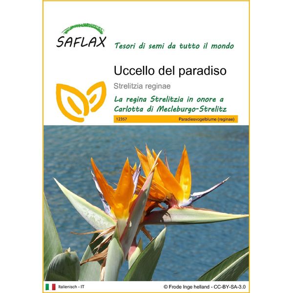 Saflax - Uccello Del Paradiso - 5 Semi - Strelitzia-image
