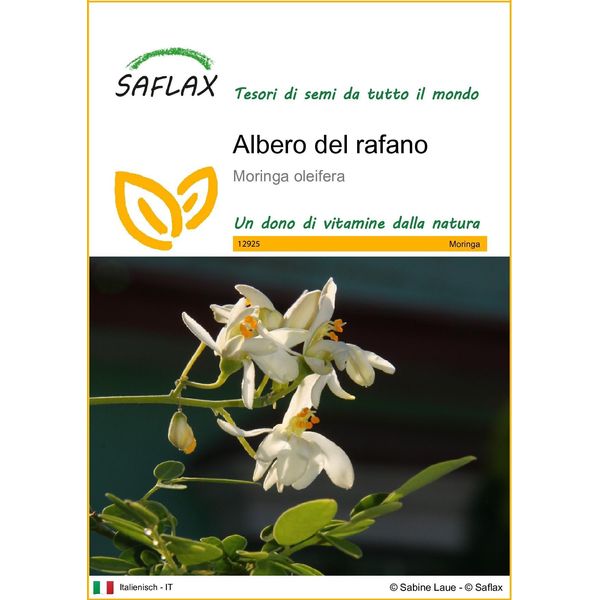Saflax - Albero Del Rafano - 10 Semi - Moringa-image