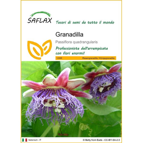 Saflax - Granadilla - 12 Semi - Passiflora-image