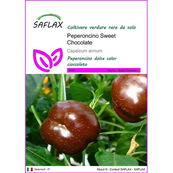 Saflax - Peperoncino Sweet Chocolate - 10 Semi - Capsicum-image