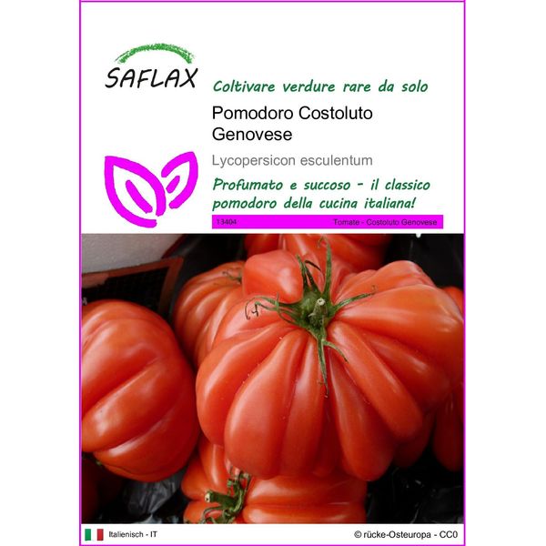 Saflax - Pomodoro Costoluto Genovese - 10 Semi - Lycopersicon-image