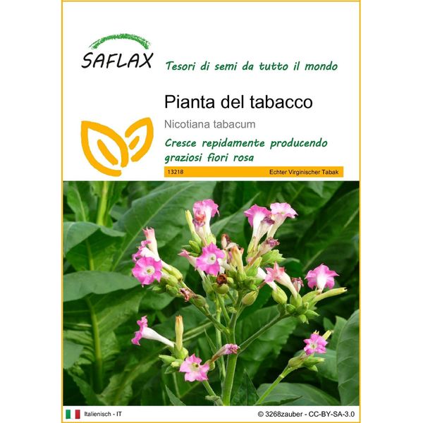 Saflax - Pianta Del Tabacco - 250 Semi - Nicotiana-image