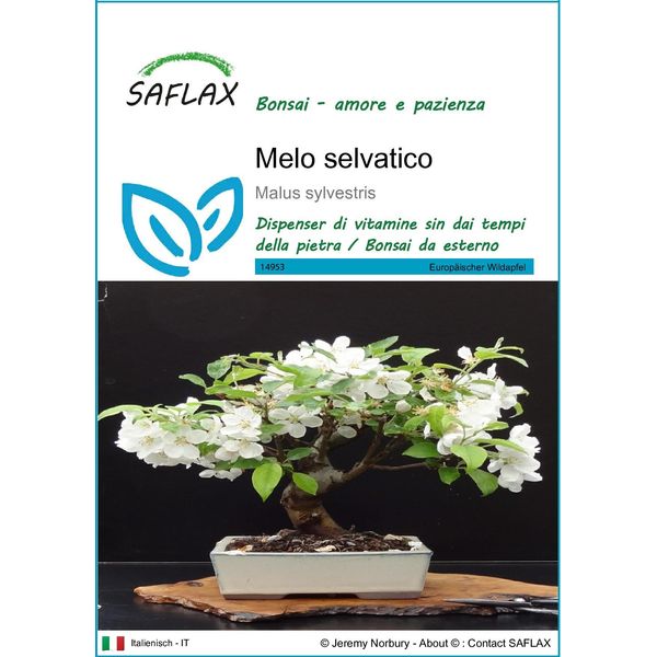 Saflax - Melo Selvatico - 30 Semi - Malus-image