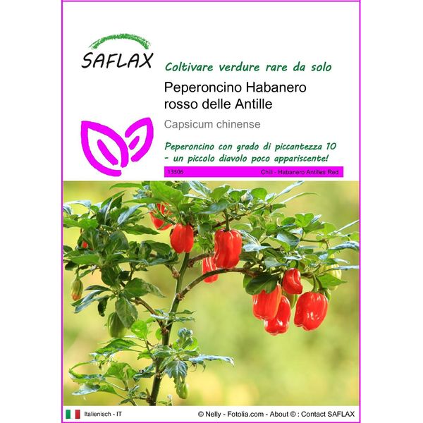 Saflax - Peperoncino Habanero Rosso Delle Antille - 10 Semi - Capsicum-image