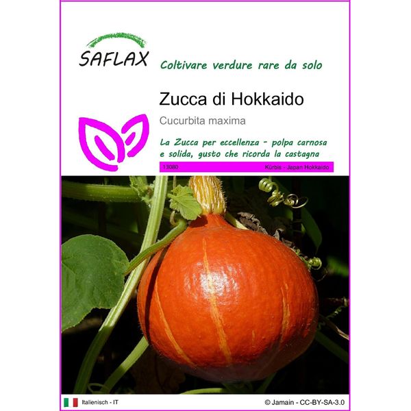 Saflax - Zucca Di Hokkaido - 10 Semi - Cucurbita-image