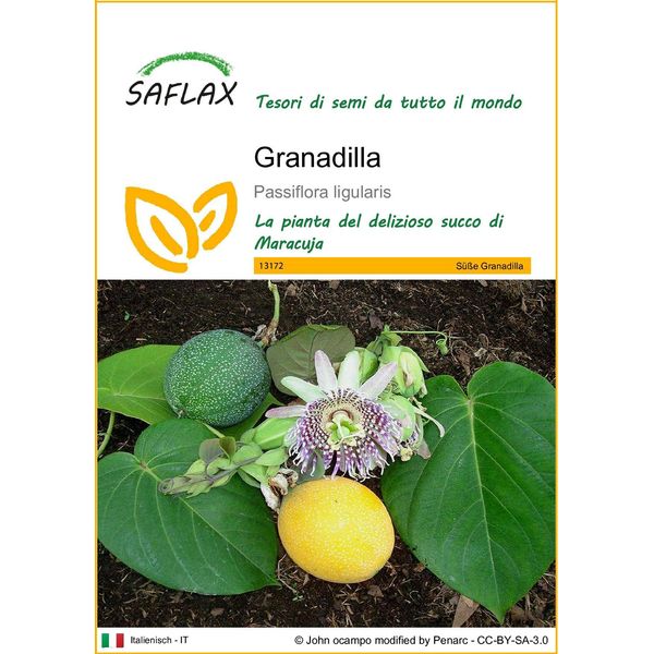 Saflax - Granadilla - 20 Semi - Passiflora-image