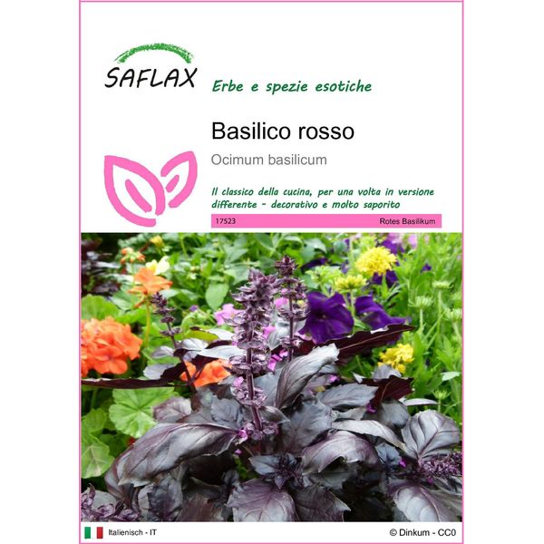Saflax - Basilico Rosso - 200 Semi - Ocimum-image