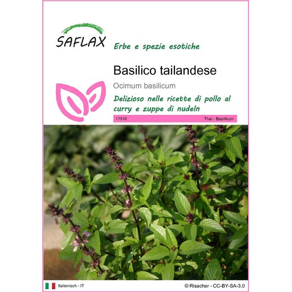 Saflax - Basilico Tailandese - 200 Semi - Ocimum-image
