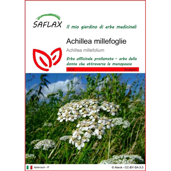 Saflax - Achillea Millefoglie - 200 Semi - Achillea-image