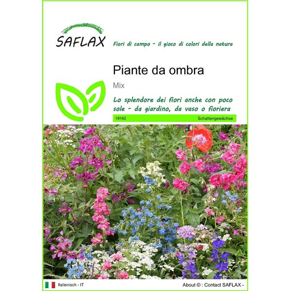 Saflax - Piante Da Ombra - 1000 Semi - Mix-image
