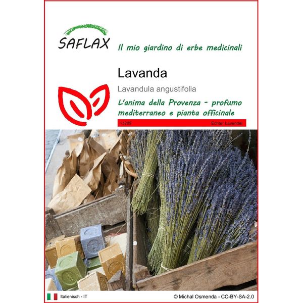 Saflax - Lavanda - 150 Semi - Lavandula-image
