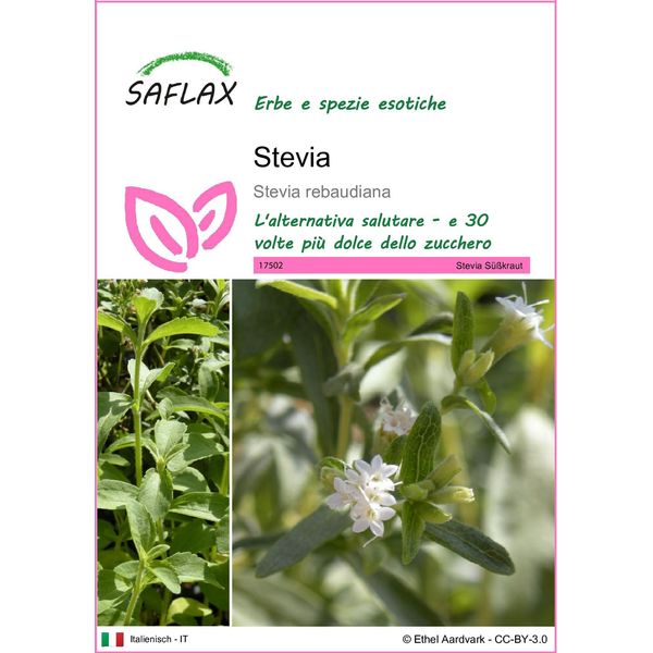Saflax - Stevia - 100 Semi - Stevia-image