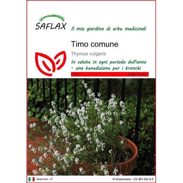 Saflax - Timo Comune - 200 Semi - Thymus-image