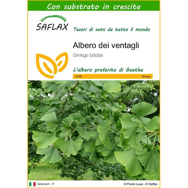 Saflax - Albero Dei Ventagli - 4 Semi - Con Substrato - Ginkgo-image