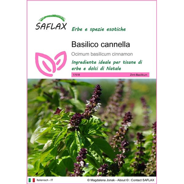 Saflax - Basilico Cannella - 200 Semi - Ocimum-image